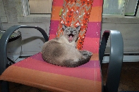 Click to see 31 Sappho Yawns.jpg