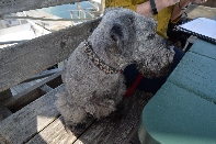 Click to see 46 Welcome at the Table.jpg