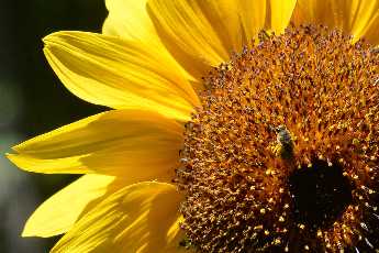 Click to see 01 Fertilizer.jpg