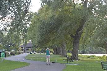 Click to see 04 Windswept Ithaca.JPG