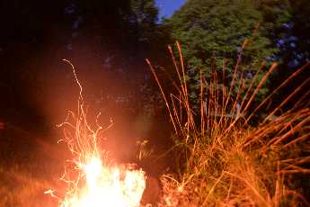 Click to see 45 Filiagrees.JPG