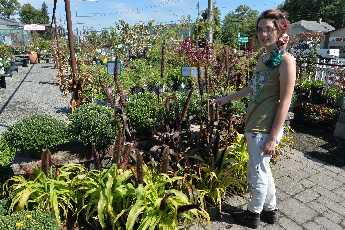 Click to see 54 More Nursery.JPG