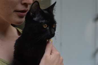 Click to see 55 Hecate Arrives.JPG