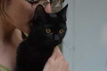 Click to see 56 Hex Casts Her Spell.JPG