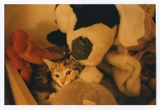 Click to see 12 Cloey.jpg