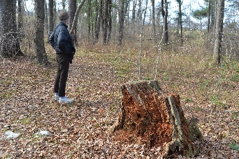 Click to see 20 Dorchester Walk 02.jpg