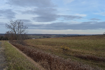 Click to see 25 Bare Apple Tree 03.jpg