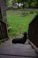 Click to see 03 Sentry.jpg