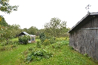 Click to see 06 Verdant.jpg