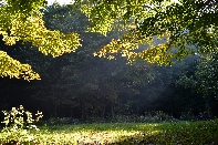 Click to see 10 Dawn.jpg