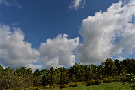 Click to see 12 Brilliant.jpg