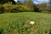 Click to see 13 Singular.jpg