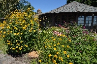 Click to see 001 Out of Town.jpg