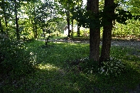 Click to see 003 Sun Strewn.jpg