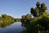 Click to see 005 Solitary Swim.jpg