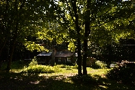 Click to see 010 WP Yard.jpg