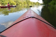 Click to see 014 Dragon Sex.jpg