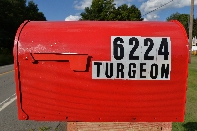 Click to see 023 Pure Red.jpg