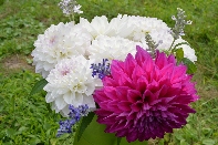 Click to see 024 Sandy's Bouquet.jpg