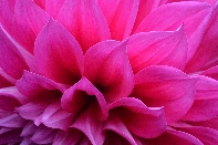 Click to see 026 Vivid.jpg