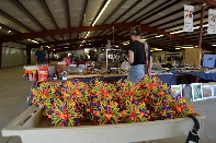 Click to see 063 Fair Game.jpg