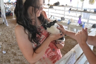 Click to see 080 Adorable.jpg