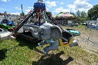 Click to see 093 The Little Elephant.jpg