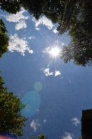 Click to see 097 Sunstruck.jpg