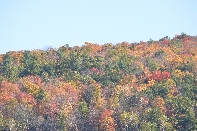 Click to see Dorchester 03.jpg