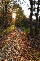 Click to see Light 01.jpg