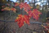 Click to see Light 06.jpg