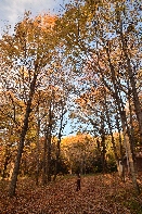 Click to see Light 07.jpg