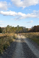 Click to see Long Pond 04.jpg