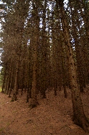 Click to see Long Pond 06.jpg