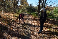 Click to see Marion and Homer 01.jpg