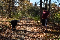 Click to see Marion and Homer 02.jpg