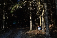 Click to see Mary 05.jpg