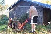 Click to see Tree 01.jpg