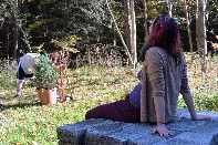 Click to see Tree 04.jpg