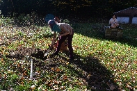 Click to see Tree 06.jpg