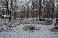 Click to see Znow 01.jpg