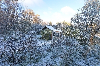 Click to see Znow 05.jpg