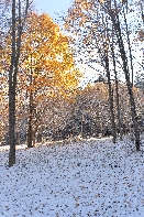 Click to see Znow 06.jpg