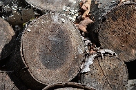 Click to see 07 Logs.jpg