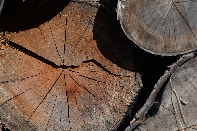 Click to see 08 Texture.jpg