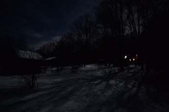 Click to see 04 Tree Shadows.jpg