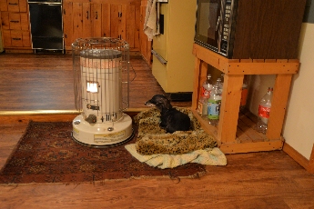 Click to see 07 Back in the Warmth.jpg