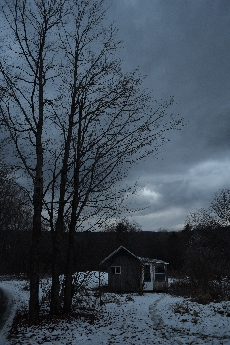 Click to see 16 Bare Trees.jpg