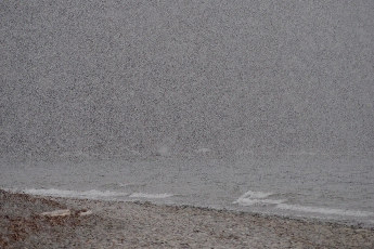 Click to see 28 Cayuga Snow Shower.jpg