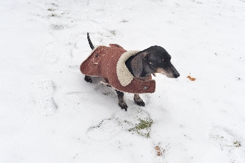 Click to see 35 Ahhhh.jpg